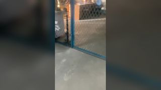 قطع غيار المكبس لمضخة قضيب المصاصة