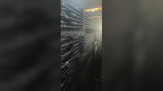 قضبان ماصة من الدرجة D